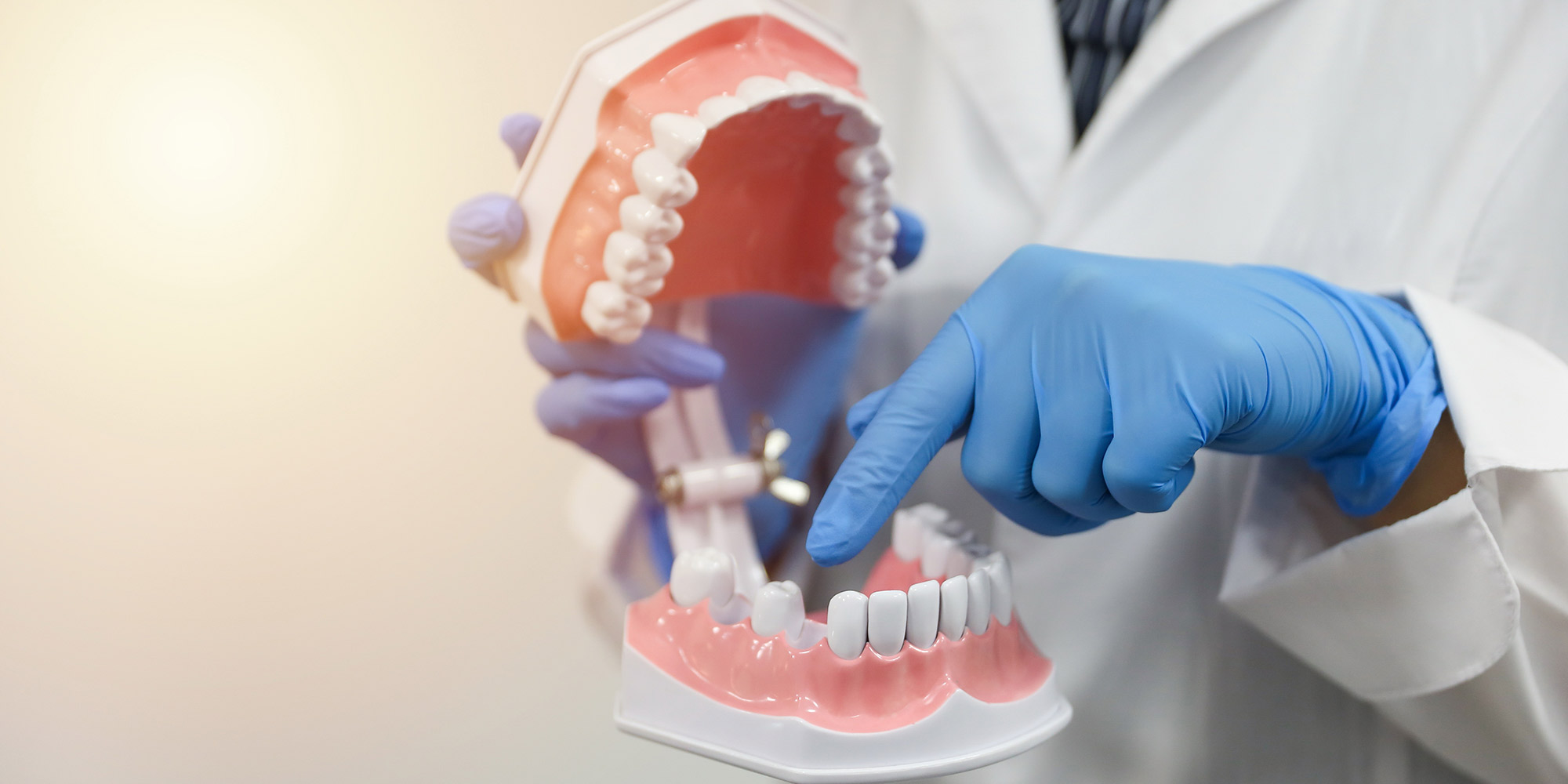 Dentist holding model of mouth pointing to missing tooth