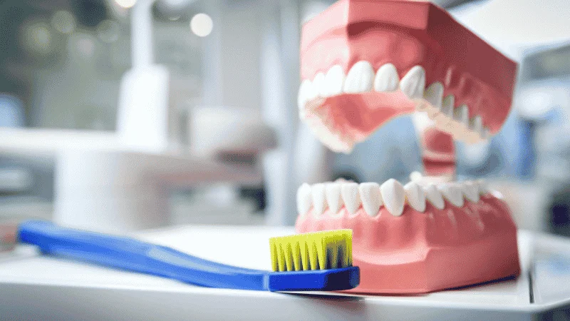 Oral Hygiene and Maintenance